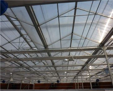 Kirkas polykarbonaatti ontto arkki