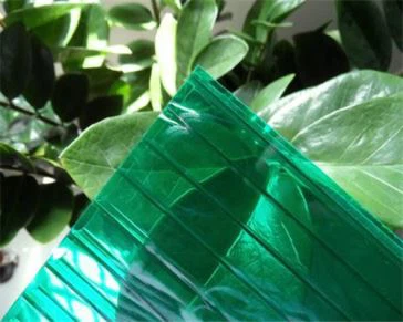 Vihreä polykarbonaatti ontto arkki